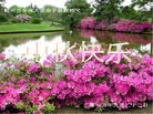 Published on 9/30/2012 ֹ,½󷨵ӹףʦ֣106
