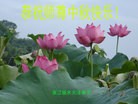 Published on 9/30/2012 ֹ,½󷨵ӹףʦ֣106
