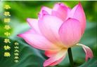 Published on 9/30/2012 ֹ,½󷨵ӹףʦ֣106
