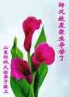 Published on 9/30/2012 ֹ,½󷨵ӹףʦ֣100
