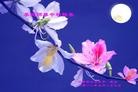 Published on 9/30/2012 ֹ,½󷨵ʺʦã118
