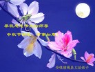 Published on 9/30/2012 ֹ,½󷨵ʺʦã118
