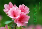 Published on 9/30/2012 ֹ,½󷨵ӹףʦ֣106
