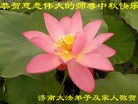 Published on 9/30/2012 ֹ,½󷨵ӹףʦ֣100
