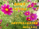 Published on 9/30/2012 ֹ,½󷨵ӹףʦ֣114
