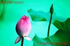 Published on 9/30/2012 ֹ,½󷨵ӹףʦ֣114
