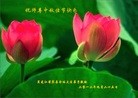 Published on 9/30/2012 ֹ,½󷨵ӹףʦ֣114

