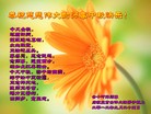Published on 9/30/2012 ֹ,½󷨵ӹףʦ֣114
