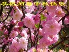 Published on 9/30/2012 ֹ,½󷨵ʺʦã121
