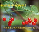 Published on 9/30/2012 ֹ,½󷨵ʺʦã121
