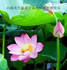 Published on 9/30/2012 ֹ,½󷨵ʺʦã126
