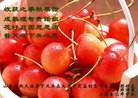 Published on 9/30/2012 ֹ,½󷨵ʺʦã112
