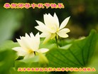 Published on 9/30/2012 ֹ,½󷨵ӹףʦ
