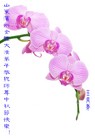 Published on 9/30/2012 ֹ,½󷨵ʺʦã160
