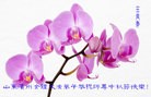 Published on 9/30/2012 ֹ,½󷨵ʺʦã160
