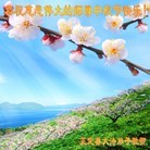 Published on 9/30/2012 ֹ,½󷨵ʺʦã140
