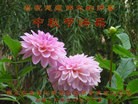 Published on 9/30/2012 ֹ,½󷨵ʺʦã140
