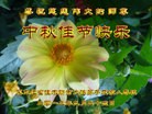 Published on 9/30/2012 ֹ,½󷨵ʺʦã140
