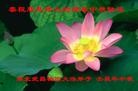 Published on 9/30/2012 ֹ,½󷨵ʺʦã99

