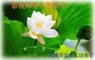 Published on 9/30/2012 ֹ,½󷨵ʺʦã141
