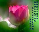 Published on 9/30/2012 ֹ,½󷨵ʺʦã99
