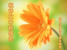 Published on 9/30/2012 ֹ,½󷨵ʺʦã114
