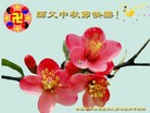 Published on 9/30/2012 ֹ,½󷨵ʺʦã160
