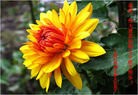 Published on 9/30/2012 ֹ,½󷨵ʺʦã160
