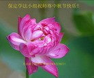 Published on 9/30/2012 ֹ,½󷨵ʺʦã160
