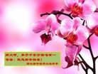 Published on 1/2/2013 ֹ,½󷨵ӹףʦԪ֣60

