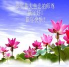 Published on 1/3/2013 ֹ,½󷨵ӹףʦԪ֣55
