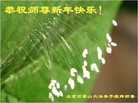 Published on 1/3/2013 ֹ,½󷨵ӹףʦԪ֣55
