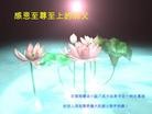Published on 1/3/2013 ֹ,½󷨵ӹףʦԪ֣55

