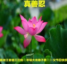 Published on 1/3/2013 ֹ,½󷨵ӹףʦԪ֣72
