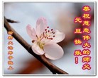 Published on 1/3/2013 ֹ,½󷨵ӹףʦԪ֣72

