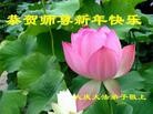 Published on 2/7/2013 ֹ,󷨵ӹףʦ(16)
