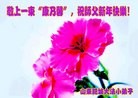 Published on 2/7/2013 ֹ,½Сӹףʦ(14)
