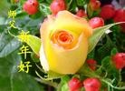 Published on 2/7/2013 ֹ,ҵ󷨵ӹףʦ(18)
