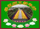 ֹ,ӱ󷨵ӹףʦã25

