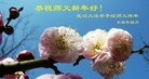 ֹ,人󷨵ӹףʦã17
