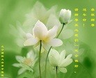 Published on 2/7/2013 ֹ,д󷨵ӹףʦ(19)
