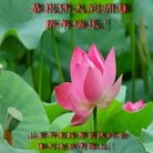 Published on 2/7/2013 ֹ,ϵͳ󷨵ӹףʦ(17)
