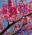 ֹ,ϴ󷨵ӹףʦ(15)
