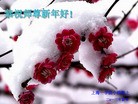 Published on 2/9/2013 ֹ,ҵ󷨵ӹףʦã24
