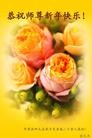 Published on 2/9/2013 ֹ,ҵ󷨵ӹףʦã24
