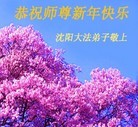ֹ,󷨵ӹףʦ(15)
