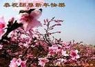 ֹ,մ󷨵ӹףʦã15
