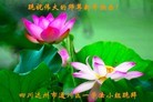 ֹ,Ĵ󷨵ӹףʦã24

