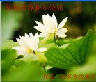 Published on 2/7/2013 ֹ,󷨵ӹףʦ(18)
