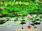 Published on 2/10/2013 ֹ,󷨵ӹףʦã15
